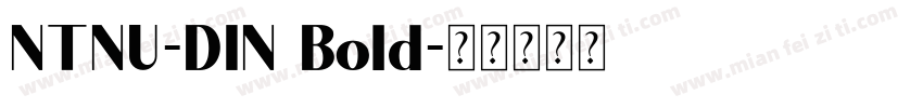 NTNU-DIN Bold字体转换